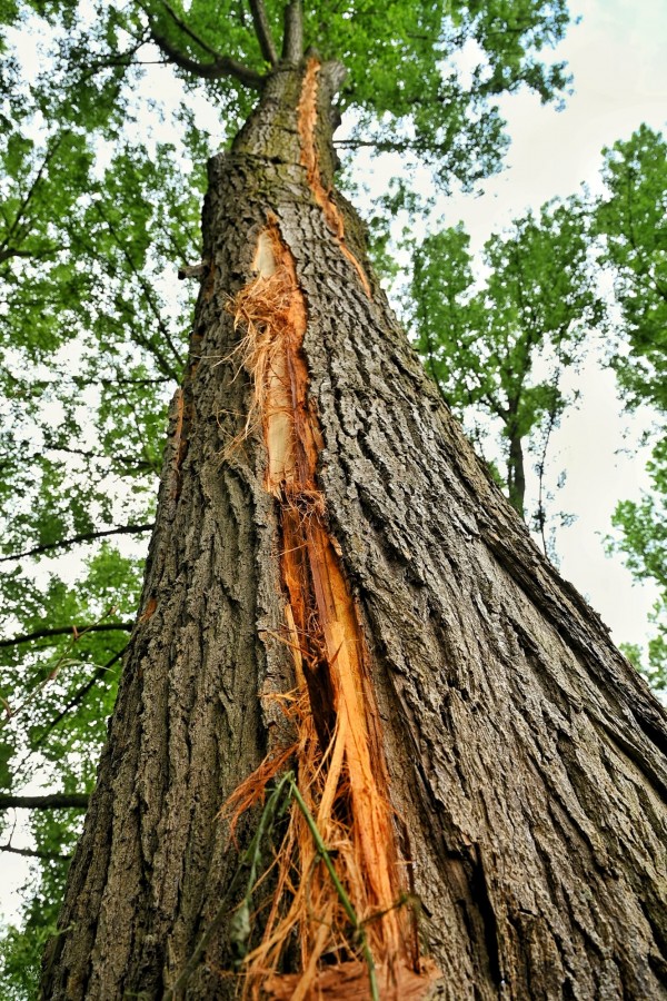 Dit was de grote knal in Oisterwijk