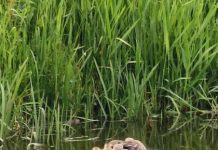 O’ wat ben je mooi