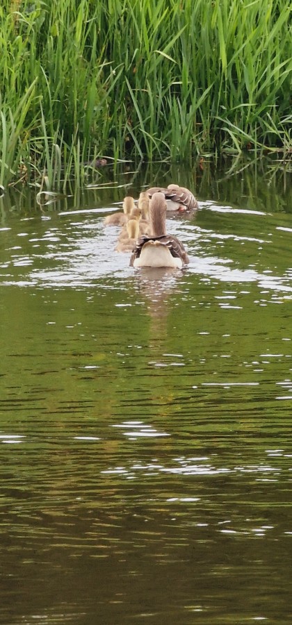 O’ wat ben je mooi
