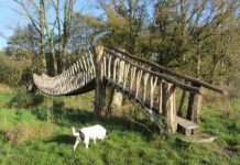 O’ wat ben je mooi