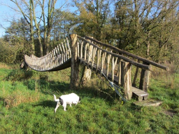 O’ wat ben je mooi