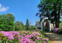 O’ wat ben je mooi