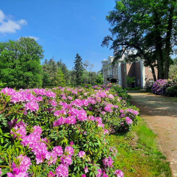 O’ wat ben je mooi