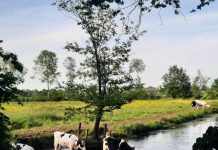 O’ wat ben je mooi