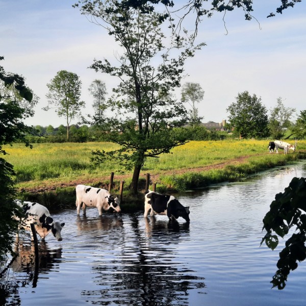 O’ wat ben je mooi