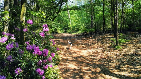 O’ wat ben je mooi