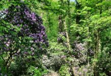 O’ wat ben je mooi