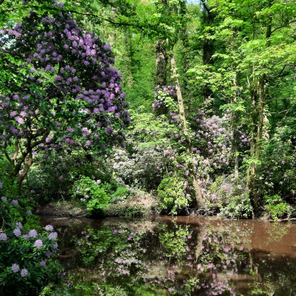 O’ wat ben je mooi