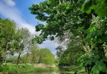 O’ wat ben je mooi