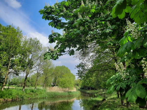 O’ wat ben je mooi
