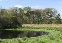 Gaan landschapsecologische zones en andere ruimtelijke claims in het Oostflankgebied wel samen?