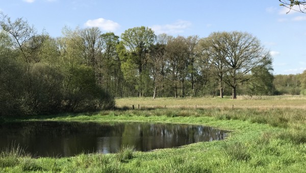 Gaan landschapsecologische zones en andere ruimtelijke claims in het Oostflankgebied wel samen?
