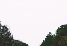 Nieuw boek van Oisterwijker Roland Smulders