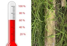 Fondsenwerving Gedenknaald KVL: al 72.590 euro!