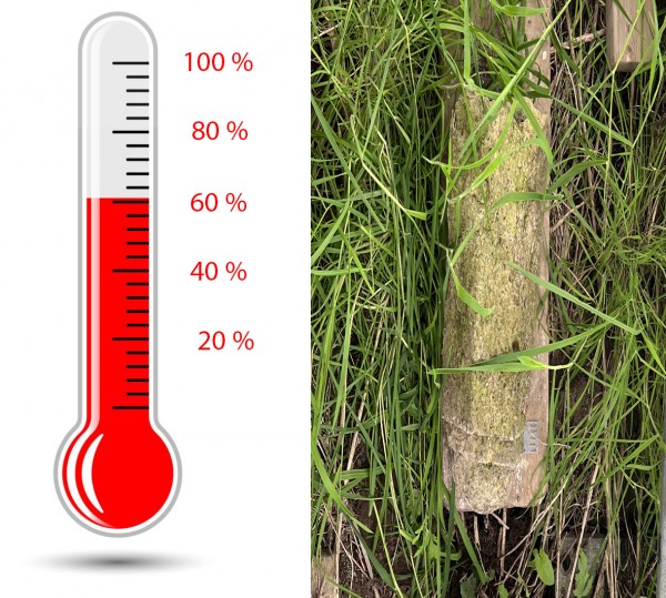 Fondsenwerving Gedenknaald KVL: al 72.590 euro!