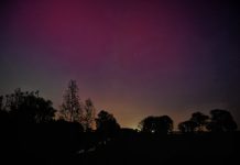 Hoe donker is het echt op de Oisterwijkse Kampina?