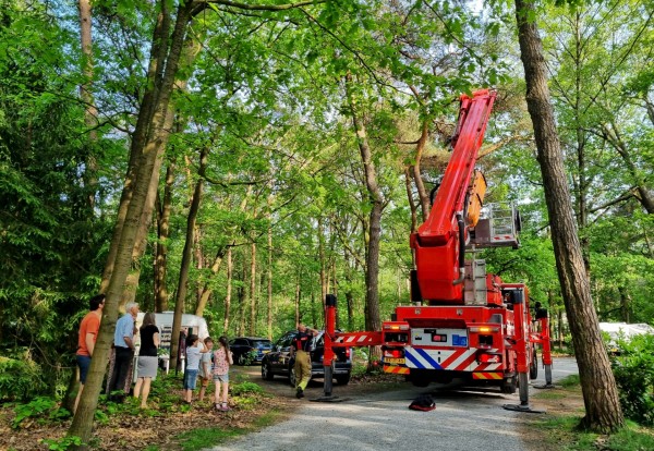Brandweer haalt gevaarlijke loshangende tak uit boom