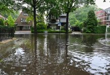 Maatregelen nodig tegen wateroverlast in Oisterwijk