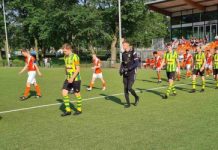 Nemelaer Haaren moet het afleggen tegen Orion