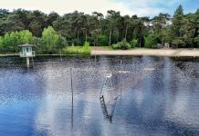 Buitenbad Staalbergven in Oisterwijk moet blijven