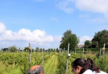 Expositie Beeldkracht Oisterwijk in de Verdieping Moergestel