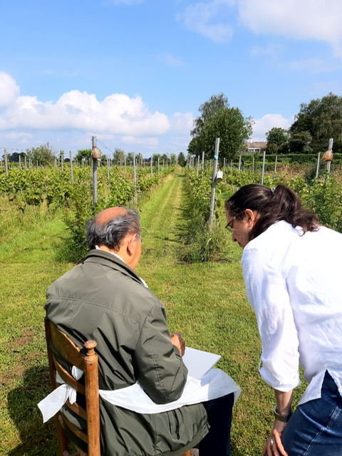 Expositie Beeldkracht Oisterwijk in de Verdieping Moergestel