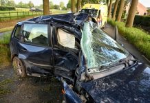 Ernstig ongeval met auto tegen boom in Moergestel