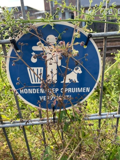 Ruim je hondenpoep op!