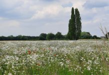 O’ wat ben je mooi