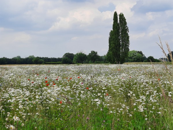 O’ wat ben je mooi