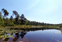 O’ wat ben je mooi