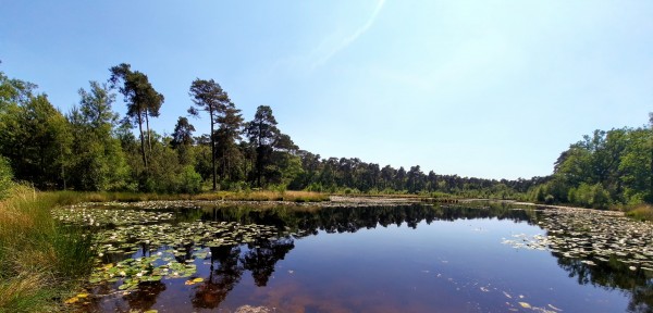 O’ wat ben je mooi