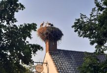 O’ wat ben je mooi