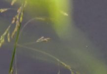 O’ wat ben je mooi