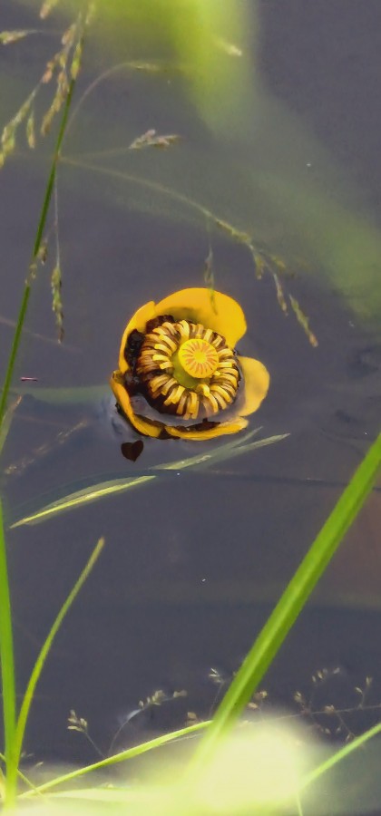 O’ wat ben je mooi