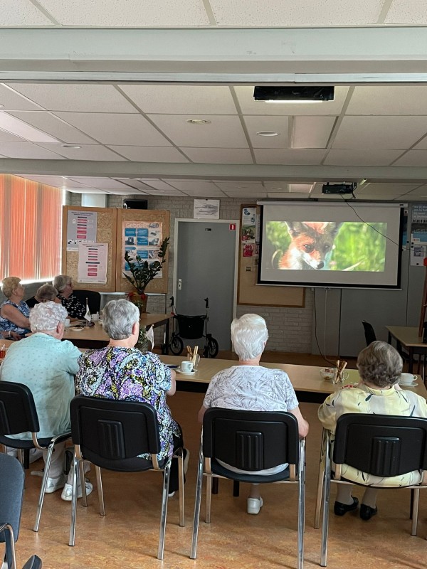 Zomerontmoetingen: recreatief en creatief met Parelfair Oisterwijk