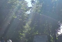 Gemeente Oisterwijk en Rijkswaterstaat negeren klachten weggebruikers bij omleiding N65