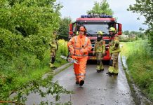Boom op de weg in Haaren
