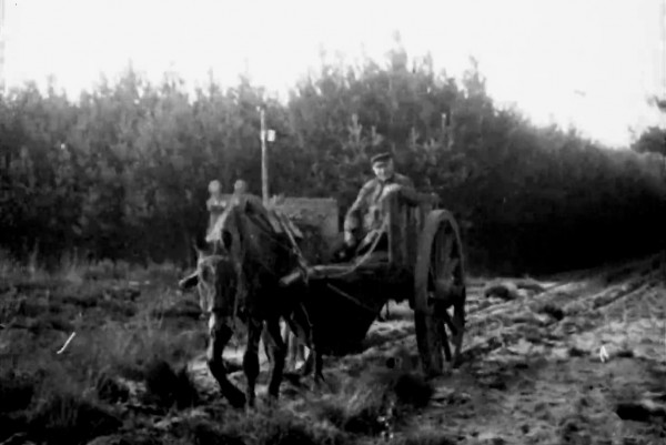 Beeldbank Oisterwijk: De bosschen en vennen van Oisterwijk, 1917
