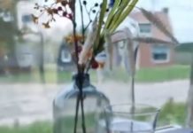 Dinner Train heeft ritten stop gezet (Update)