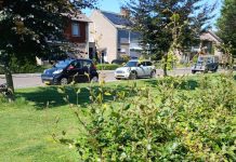 Gratis compost en inleveren snoeihout