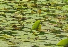 O’ wat ben je mooi