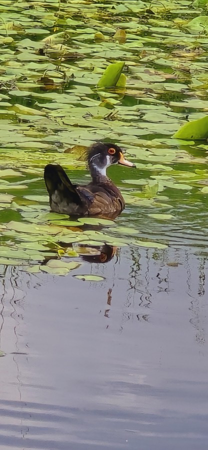 O’ wat ben je mooi