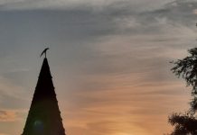 O’ wat ben je mooi