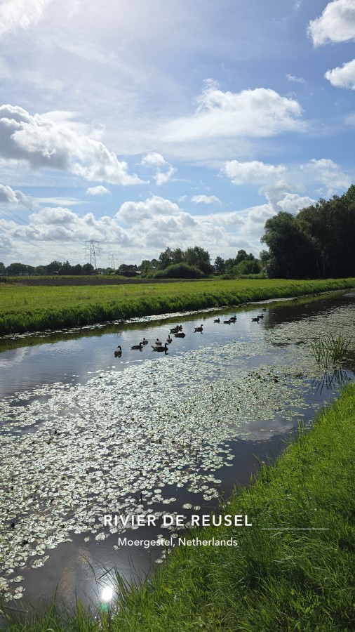 O’ wat ben je mooi