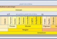 Lezing door Joop van Hezik over Antropoceen of Eoceen?