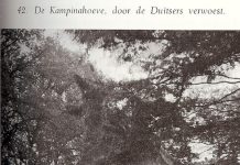 Maand van de Geschiedenis: Goedbedoelde naoorlogse herplant wordt te vuur en te zwaard bestreden