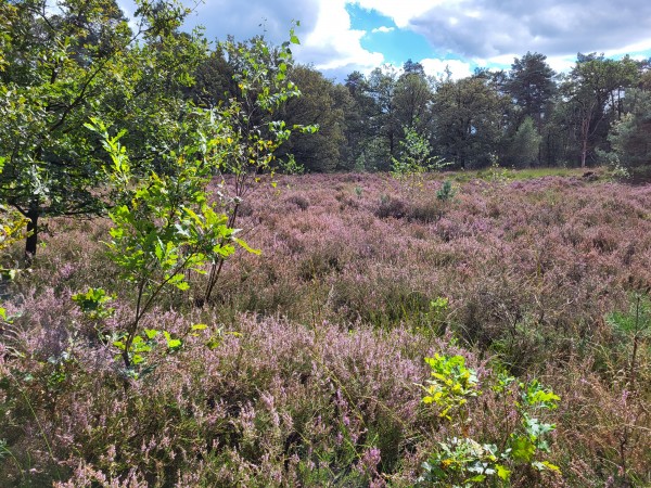 O’ wat ben je mooi