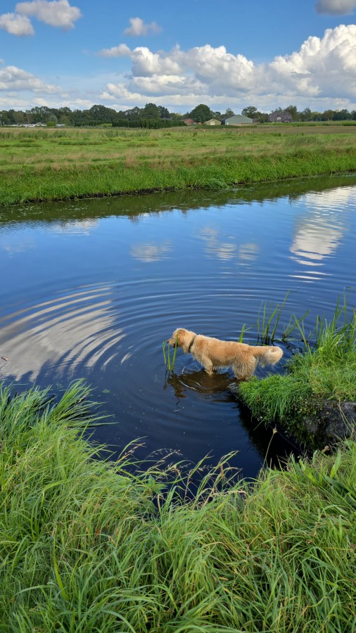 O’ wat ben je mooi