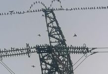 O’ wat ben je mooi